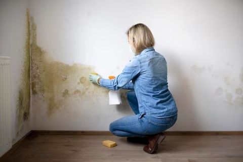 Water Damage Restoration: Explore Causes, Steps, and Recovery Methods